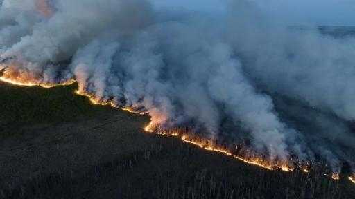 أستراليا تقلل مستوى التحذير من حرائق الغابات في نيو ساوث ويلز أستراليا تقلل مستوى التحذير من حرائق الغابات في نيو ساوث ويلز