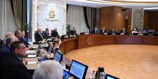 مجلس الوزراء يخصص قطعتي أرض لجهاز مستقبل مصر للتنمية المستدامة
