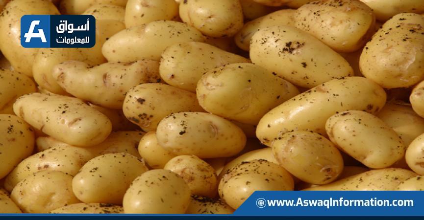 البطاطس
