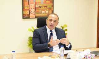 نائب وزيرة التخطيط يشارك بورشة العمل حول ”تقرير التنمية البشرية مصر 2025”