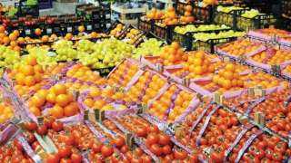 زيادة صادرات مصر الغذائية 30 ألف طن وهولندا والسعودية أكبر المستوردين
