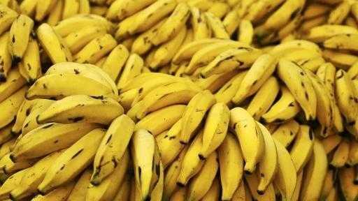 تراجع صادرات ميانمار من الموز إلى الصين بنسبة 45% وسط قيود صارمة