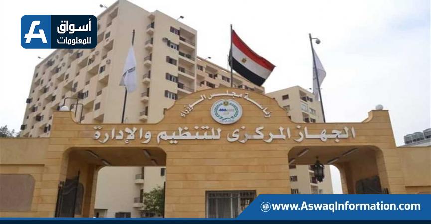 التنظيم والادارة