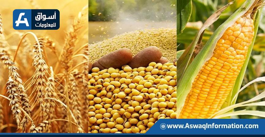 الذرة والقمح وفول الصويا