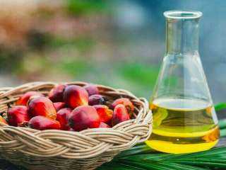 انخفاض العقود الآجلة لزيت النخيل الماليزي بأكثر من 4% هذا الأسبوع
