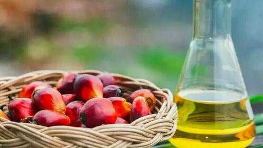 صادرات زيت النخيل الإندونيسية تقفز لـ 24 مليار دولار في 2025