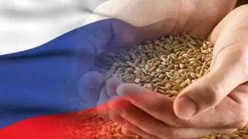 روسيا ترفع رسوم تصدير القمح والذرة تماشياً مع ارتفاع الأسعار الإرشادية مطلع أبريل