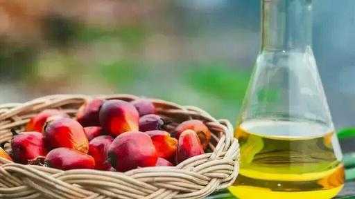 زيت النخيل الماليزي يرتفع بنسبة 1% مدفوعاً بقفزة النفط والتوترات الجيوسياسية