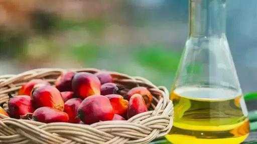 ارتفاع العقود الآجلة لزيت النخيل الماليزي بدعم من مخاوف نقص المعروض