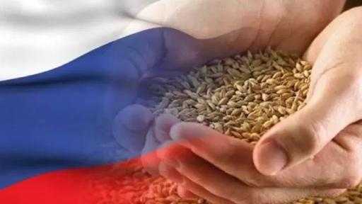 روسيا تمدد إعفاء صادرات الحبوب من الرسوم الضريبية حتى منتصف مايو