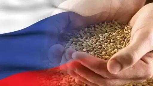 روسيا تفرض رسومًا على صادرات القمح والذرة اعتبارًا من 5 أغسطس روسيا تفرض رسومًا على صادرات القمح والذرة اعتبارًا من 5 أغسطس