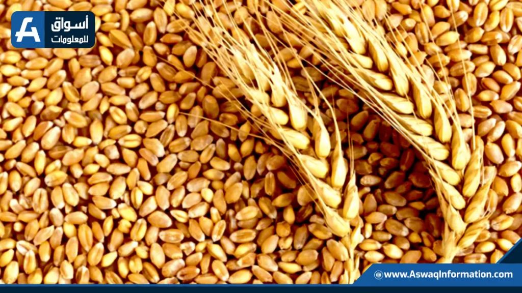 صادرات القمح