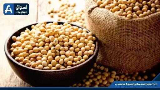 توقعات بانخفاض صادرات البرازيل من فول الصويا إلى 10.5 مليون طن خلال أغسطس