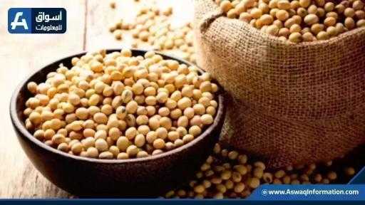 أمريكا تعلن بيع 1.37 مليون طن من فول الصويا والذرة للتصدير خلال 5 أيام
