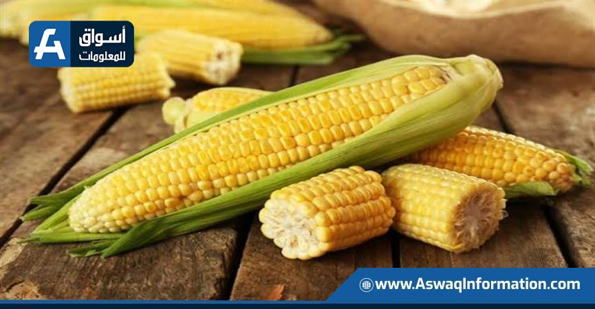 الذرة البرازيلية