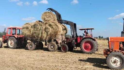 الزراعة: جمع 2.6 مليون طن من قش الأرز.. وإنتاج أكثر من 4800 طن أسمدة عضوية