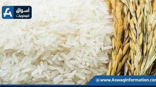 توقعات بوصول إنتاج الأرز العالمي لمستويات قياسية بدعم من إندونيسيا وبنجلاديش توقعات بوصول إنتاج الأرز العالمي لمستويات قياسية بدعم من إندونيسيا وبنجلاديش