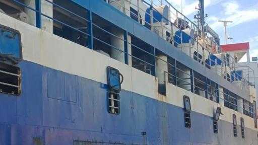 تصدير 1316 رأس عجول حية إلى لبنان عبر ميناء سفاجا