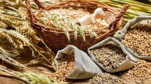 تأهباً لضربة أمريكية.. إيران تضاعف واردات الغذاء وتؤمن مخزونات الأدوية