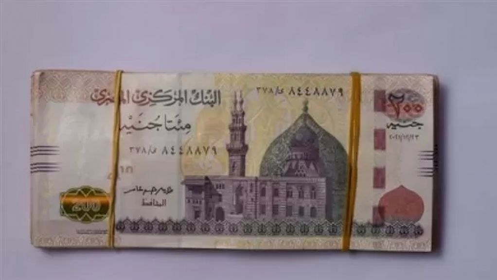 زيادة المعاشات