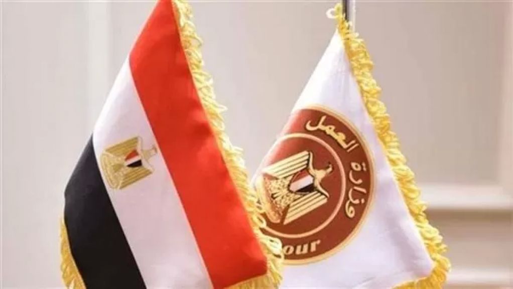 وزارة العمل 