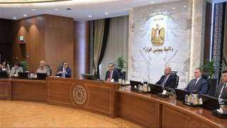 اجتماع الحكومة.. توريد 1.4 مليون طن قمح حتى الآن.. والمالية تصرف المليارات الثلاثة الخاصة بمحصول القطن