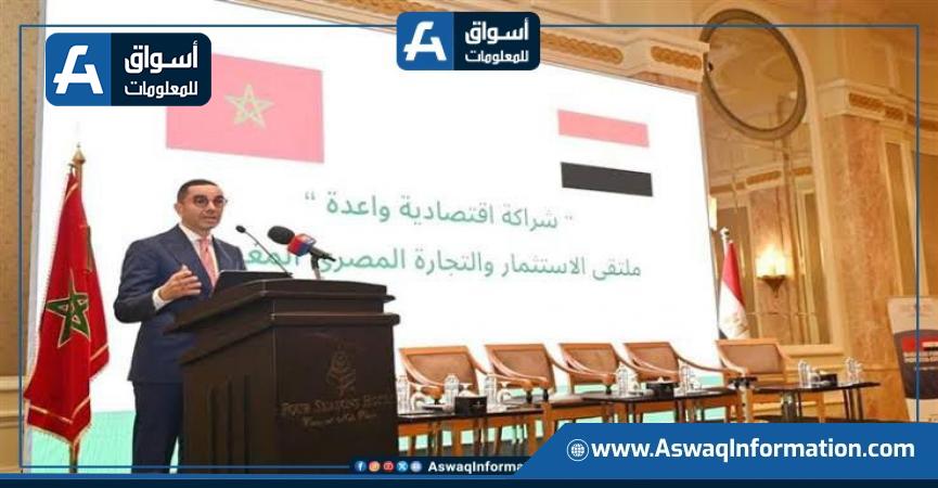 وزير الاستثمار