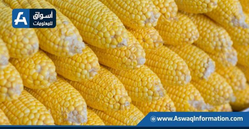 سعر طن الذرة الصفراء