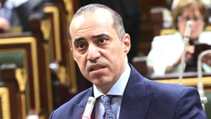 المستشار محمود فوزي