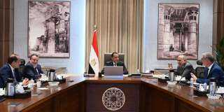 رئيس الوزراء يتابع خطة توفير المنتجات البترولية لتشغيل محطات الكهرباء خلال الصيف