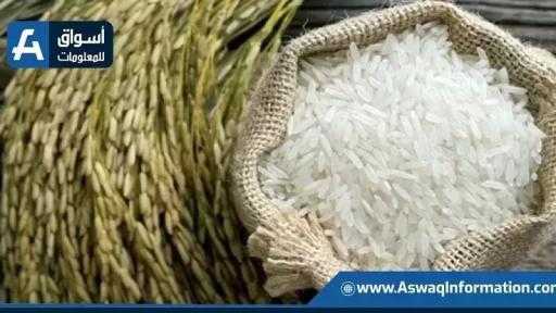 تراجع 500 جنيه للطن.. سعر الأرز اليوم الثلاثاء عند التاجر تراجع 500 جنيه للطن.. سعر الأرز اليوم الثلاثاء عند التاجر