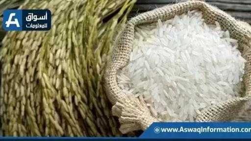 سعر الأرز اليوم الأربعاء عند التاجر.. بكام طن الشعير؟