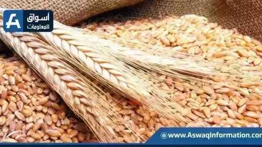 موسكو تلغي رسوم تصدير القمح ابتداءً من 10 ديسمبر