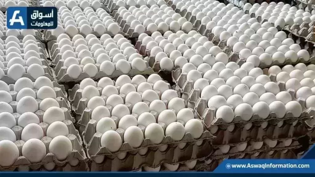 أسعار البيض في أمريكا
