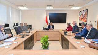وزير الري يؤكد أهمية الحفاظ على المياه وزراعة الأرز فقط في المساحات المصرح لها