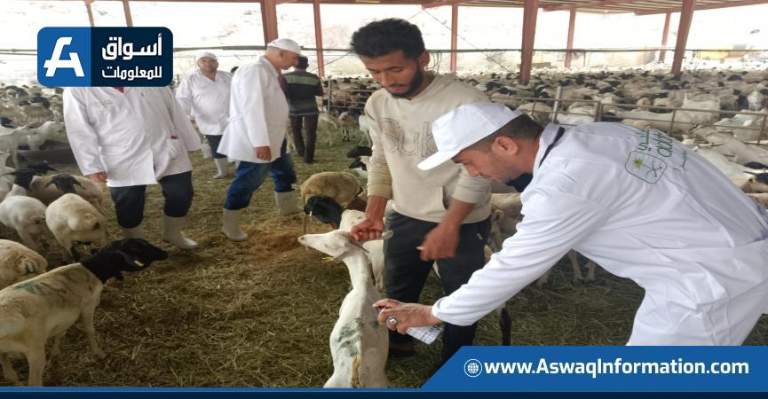 أعمال البعثة