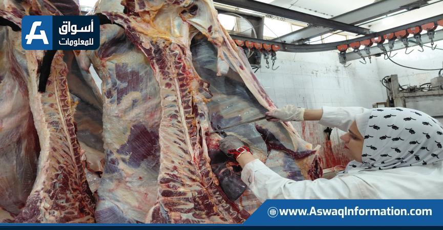 أعمال الذبح بالمجازر