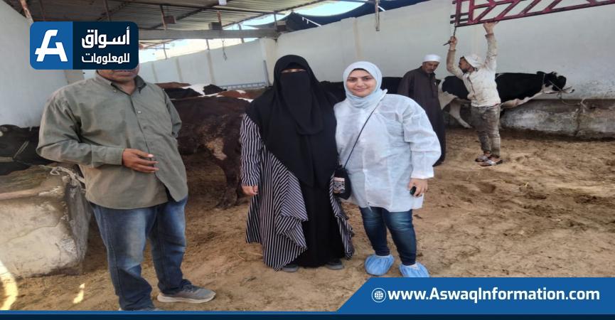 جولات الوزارة