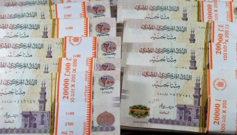 السيولة المحلية