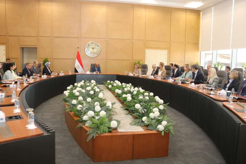 لقاء وزير الكهرباء