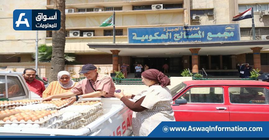 سيارات تطرح البيض