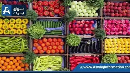 تراجع الباذنجان.. أسعار الخضراوات اليوم الخميس بسوق العبور تراجع الباذنجان.. أسعار الخضراوات اليوم الخميس بسوق العبور