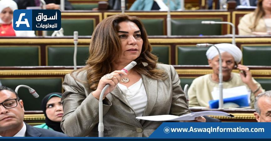 وزيرة التنمية المحلية