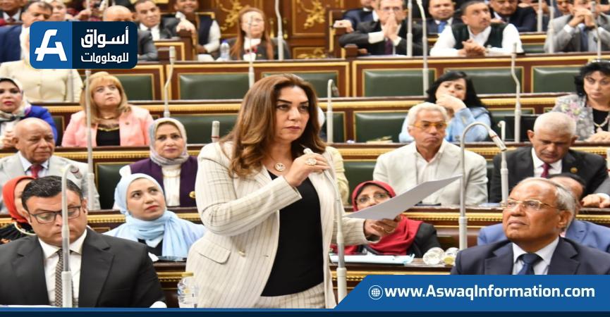 وزيرة التنمية المحلية