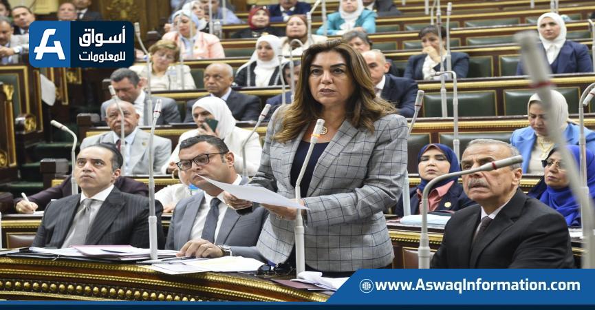 وزيرة التنمية المحلية