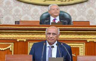 مجلس النواب يوافق على اتفاقية السوق العربية المشتركة للكهرباء