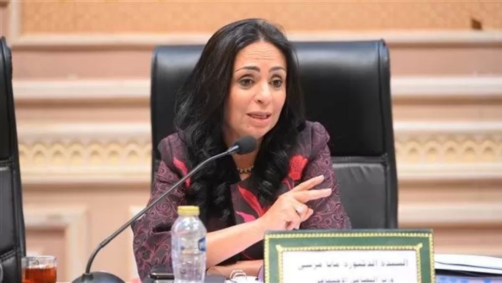 وزيرة التضامن الاجتماعي