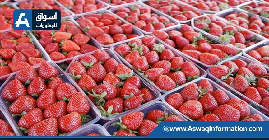 الفراولة 