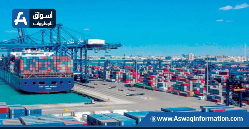 صادرات غذائية مصرية خلال أسبوع والعنب والفاصولياء