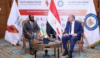 وزير البترول يعقد جلسة مباحثات مع وزير المناجم بدولة غينيا